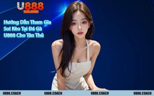 Hướng Dẫn Tham Gia Soi Kèo Tại Đá Gà U888 Cho Tân Thủ